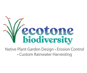 Ecotone Biodiversity
