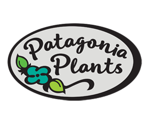 Patagonia Plants